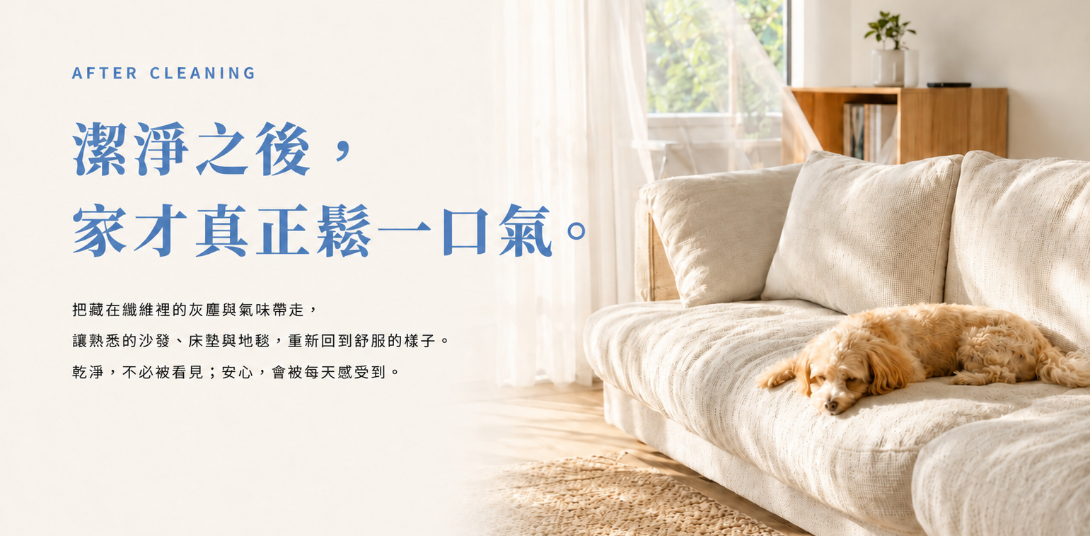 潔淨之後,家才真正鬆一口氣。清爽的沙發上,一隻狗正安心休息。